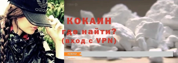 прущие грибы Костерёво