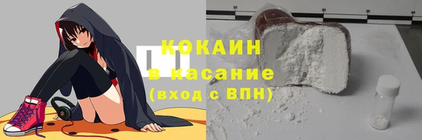 прущие грибы Костерёво