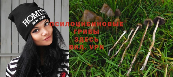 гидропоника Краснослободск