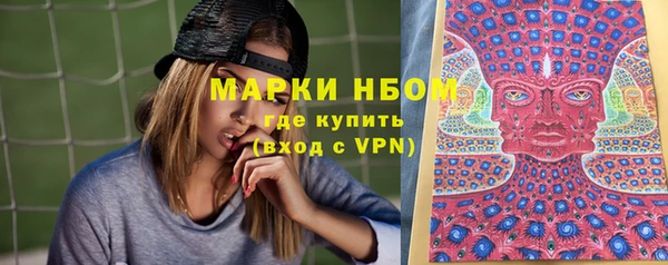 прущие грибы Костерёво