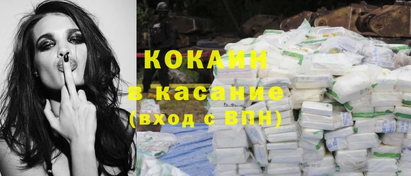 прущие грибы Костерёво