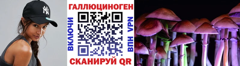 OMG tor  Орёл  Псилоцибиновые грибы Cubensis 